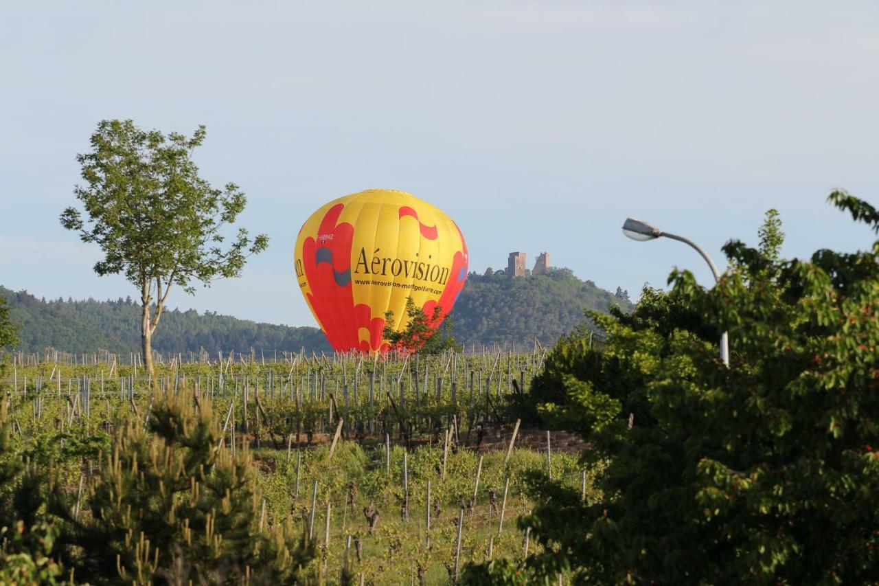 Hotel La Belle Alsacienne - Route Des Vins D'Alsace Hattstatt Zimmer foto