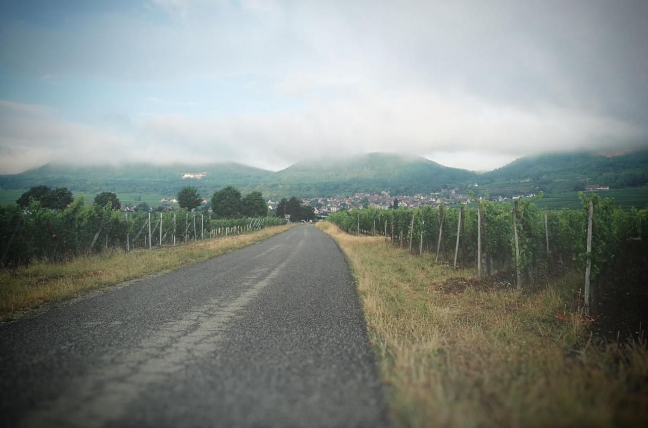 Hotel La Belle Alsacienne - Route Des Vins D'Alsace Hattstatt Exterior foto
